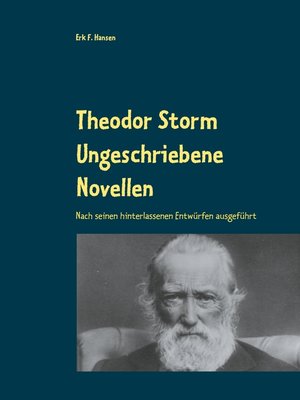 cover image of Theodor Storm Ungeschriebene Novellen
